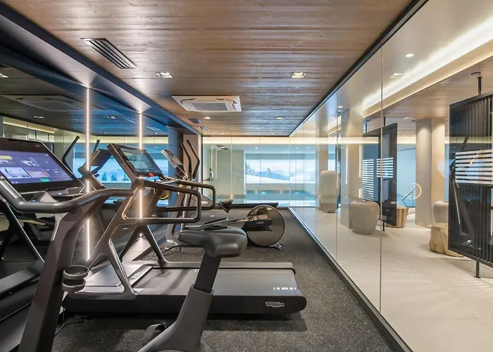 Luxueux 3 A Avec Piscine Et Salle De Sport - Fr-1-569-31